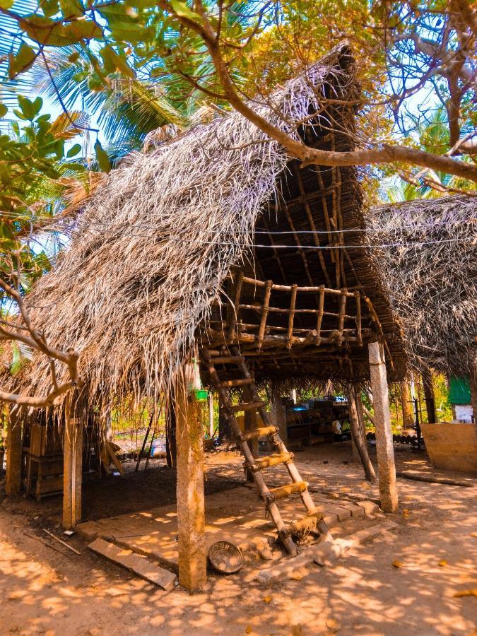 Хостел Peace Garden Ауровиль Экстерьер фото